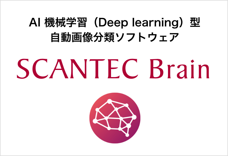 SCANTEC Brain TOP
